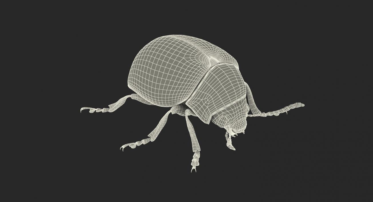 3D model Rigged Insect Pests Collection