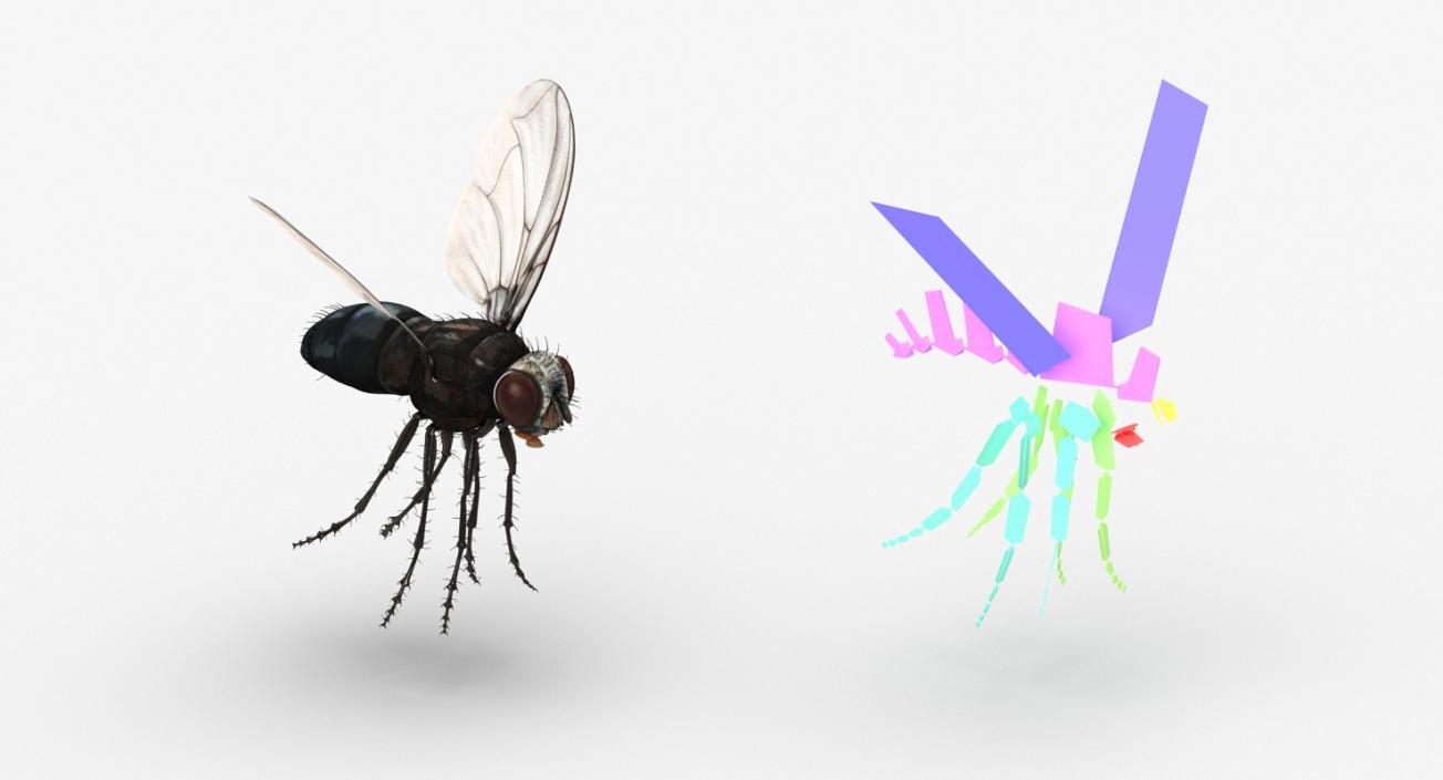 3D model Rigged Insect Pests Collection