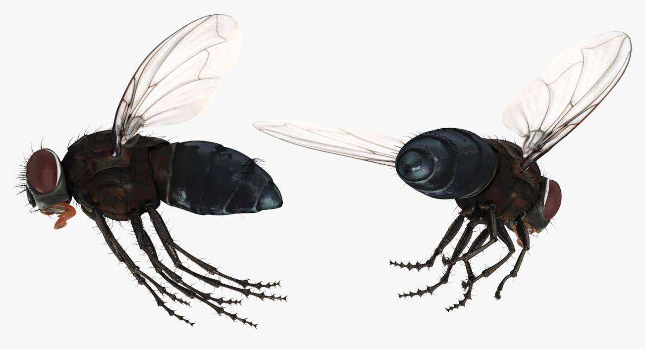 3D model Rigged Insect Pests Collection