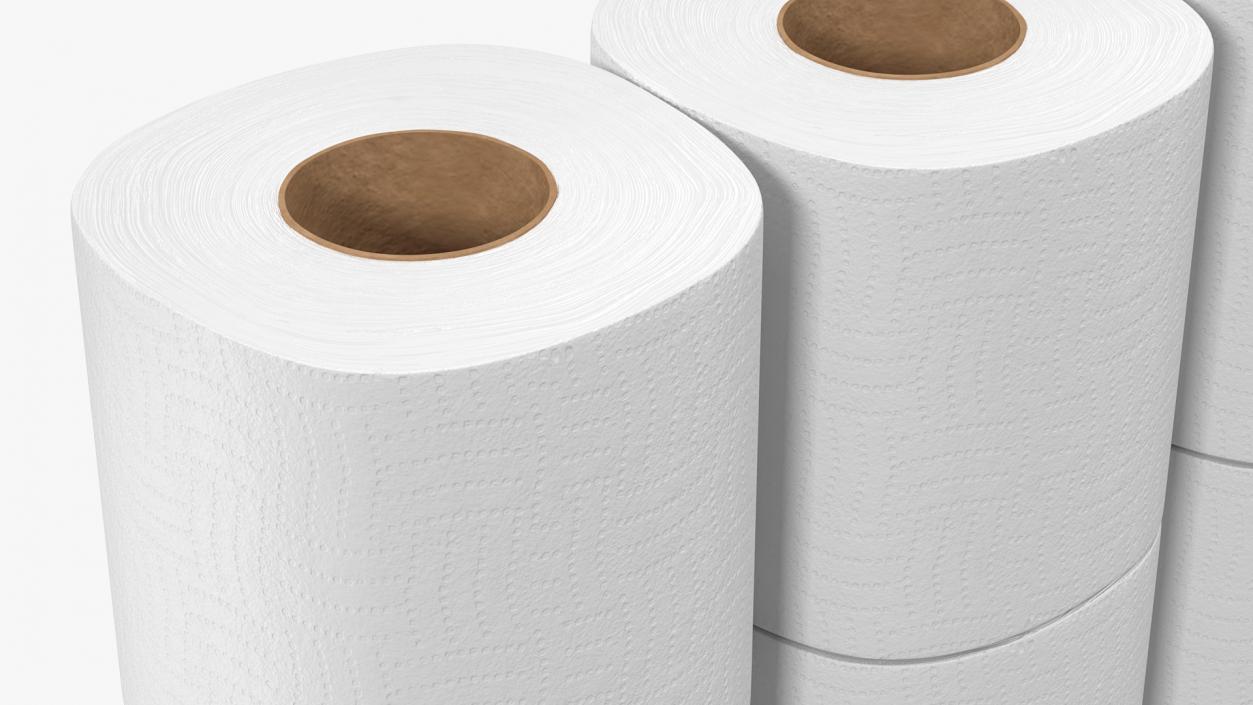 3D Toilet Paper Pack 12 Rolls