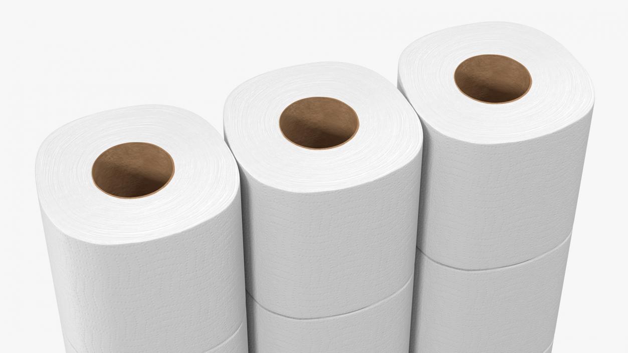 3D Toilet Paper Pack 12 Rolls