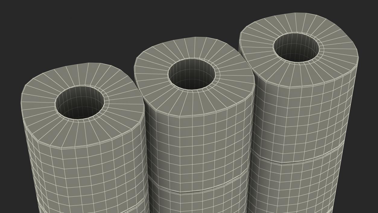 3D Toilet Paper Pack 12 Rolls