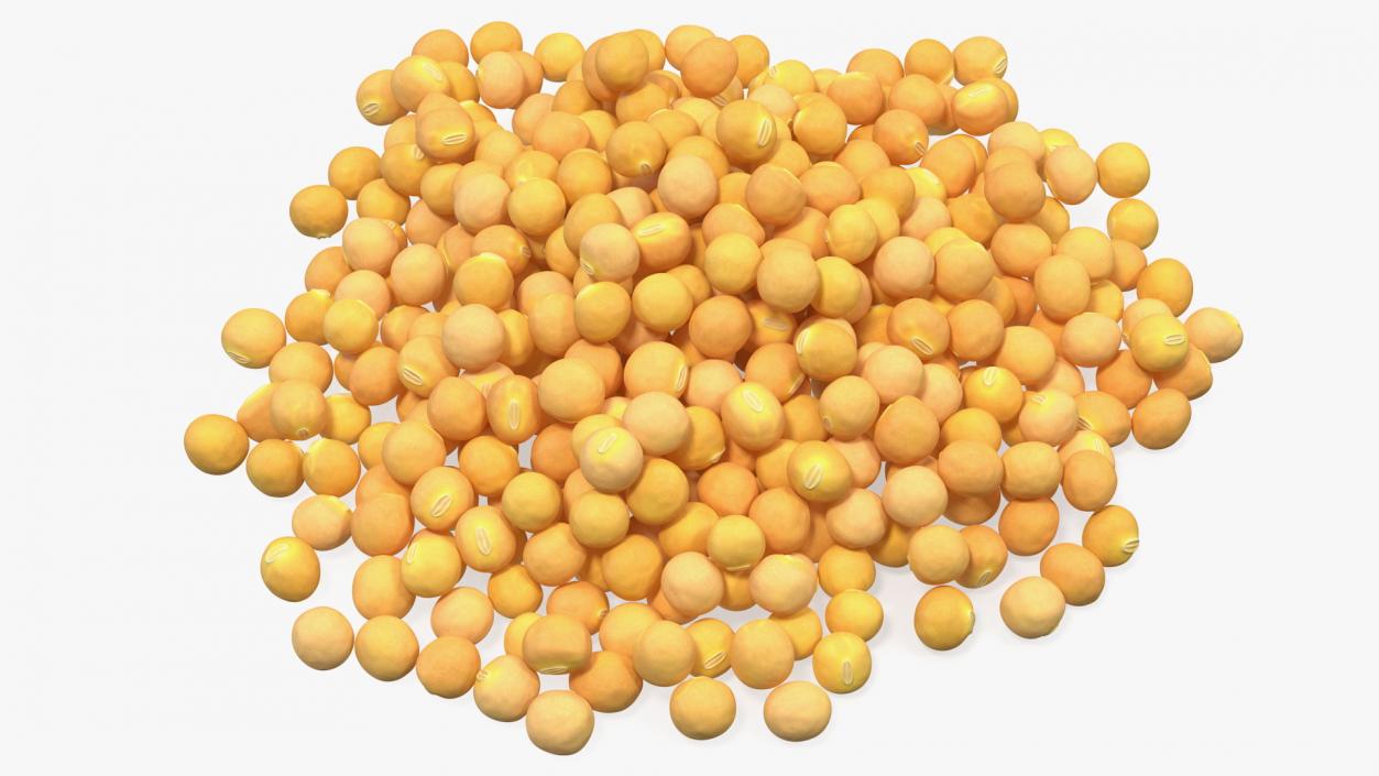 3D Pile of Soybeans