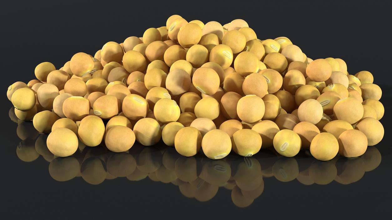 3D Pile of Soybeans