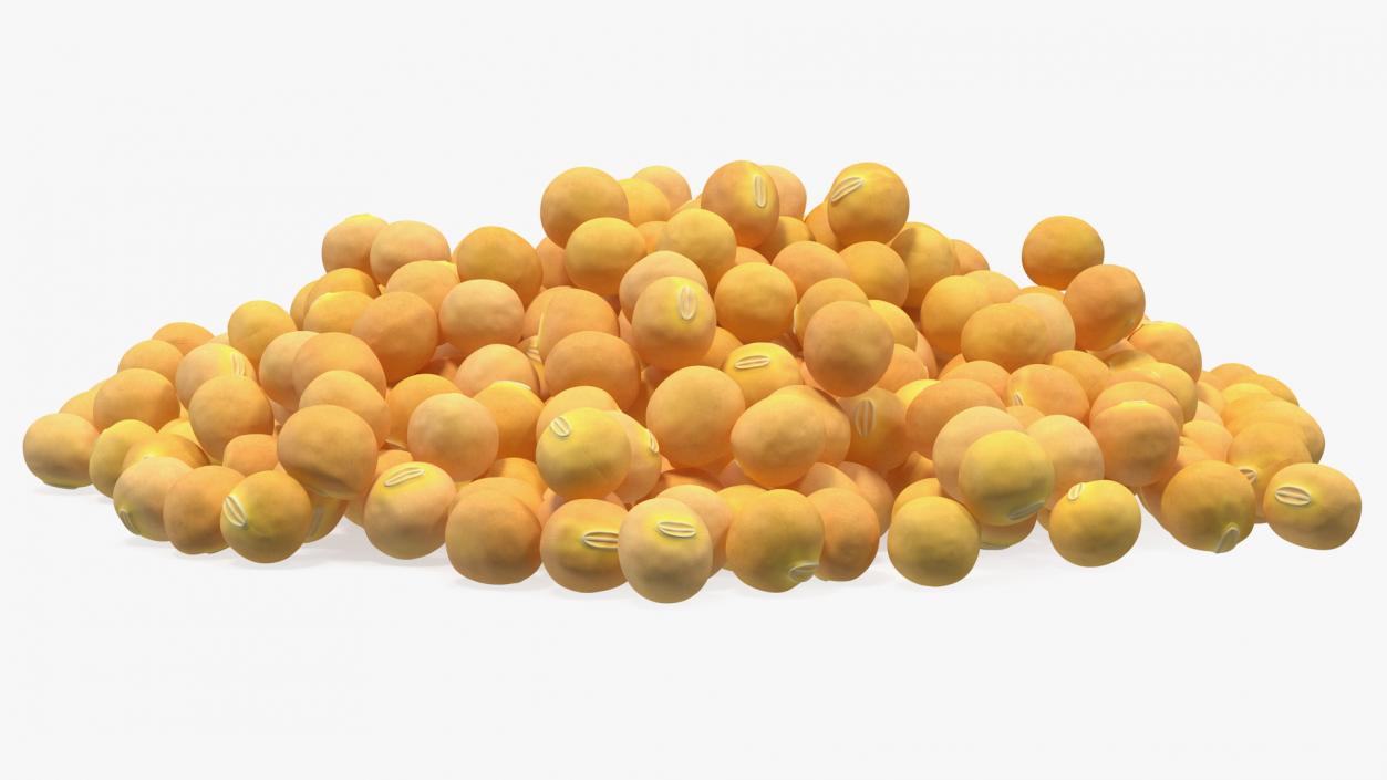 3D Pile of Soybeans