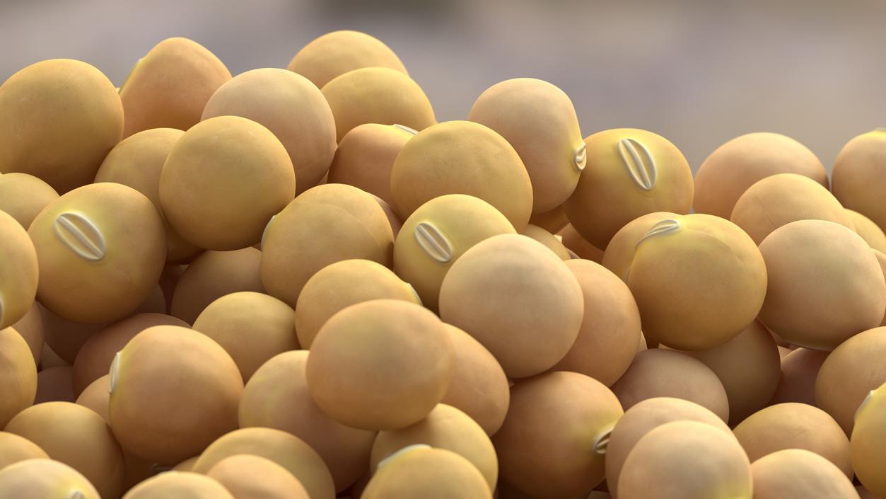 3D Pile of Soybeans