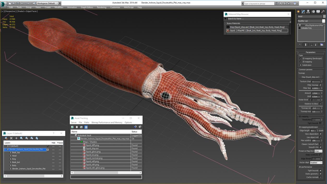 3D Slender Inshore Squid Doryteuthis Plei model