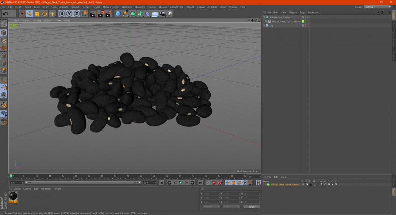 3D Pile of Black Turtle Beans