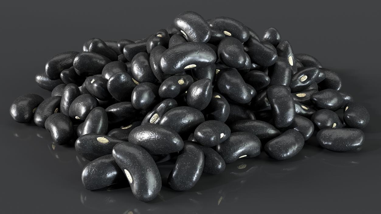 3D Pile of Black Turtle Beans