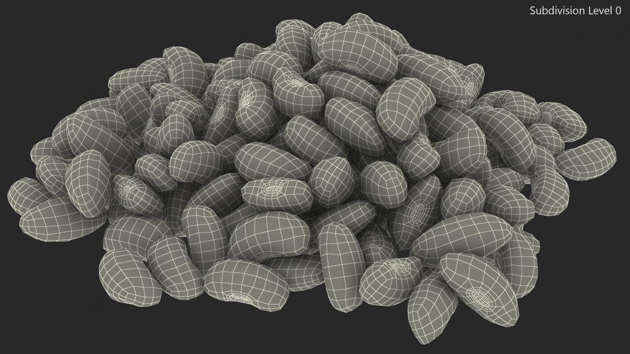 3D Pile of Black Turtle Beans