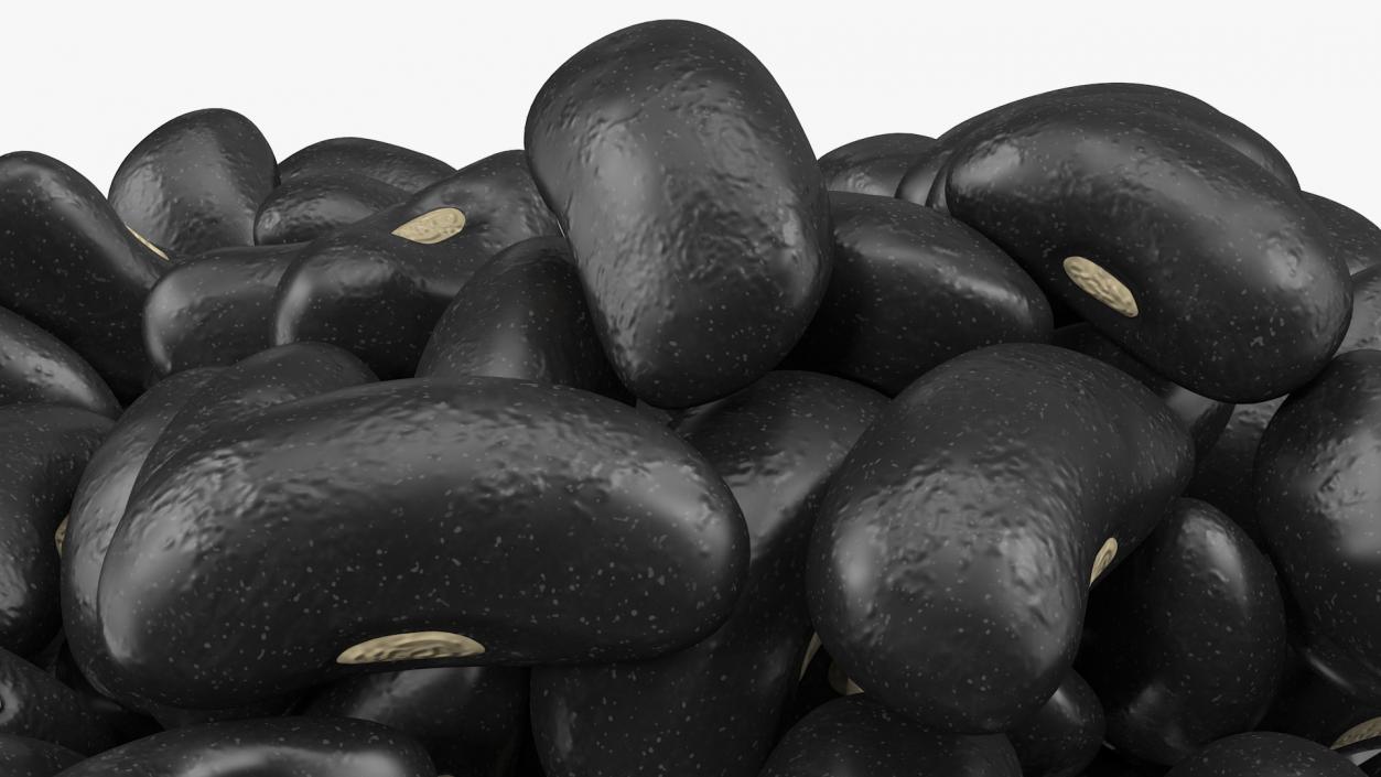 3D Pile of Black Turtle Beans