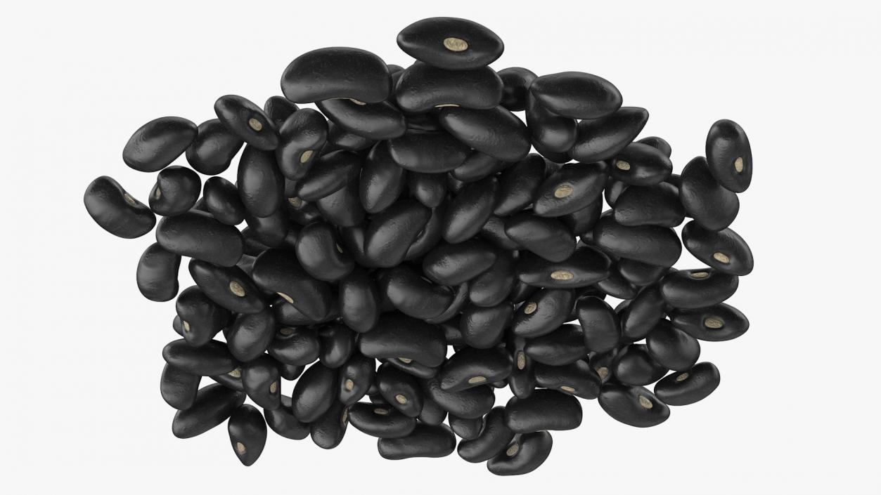 3D Pile of Black Turtle Beans