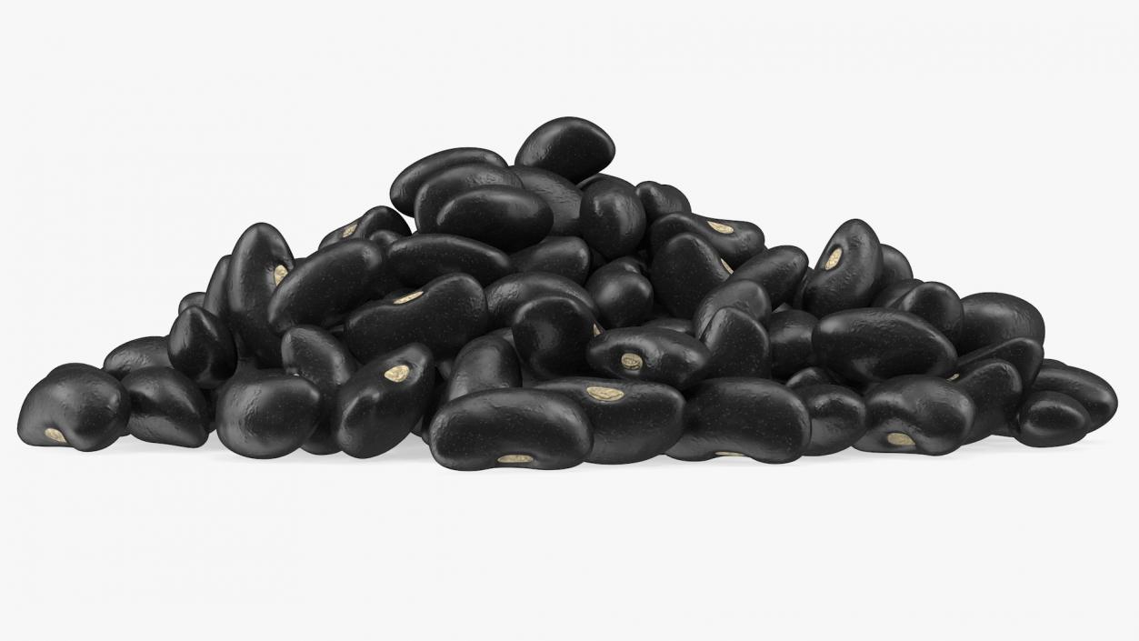 3D Pile of Black Turtle Beans