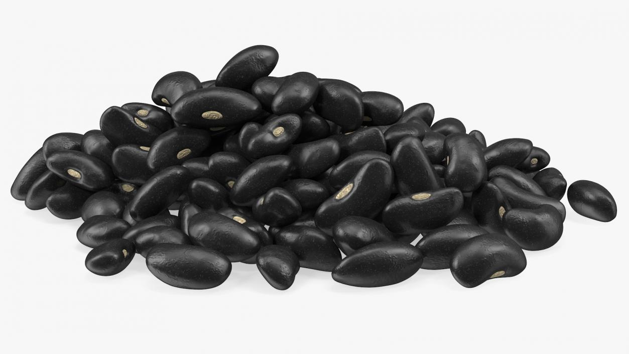 3D Pile of Black Turtle Beans