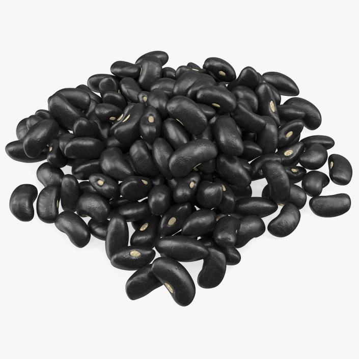 3D Pile of Black Turtle Beans