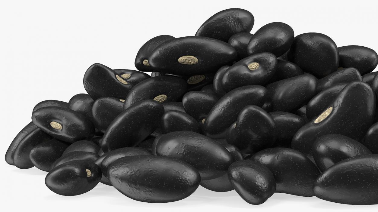 3D Pile of Black Turtle Beans