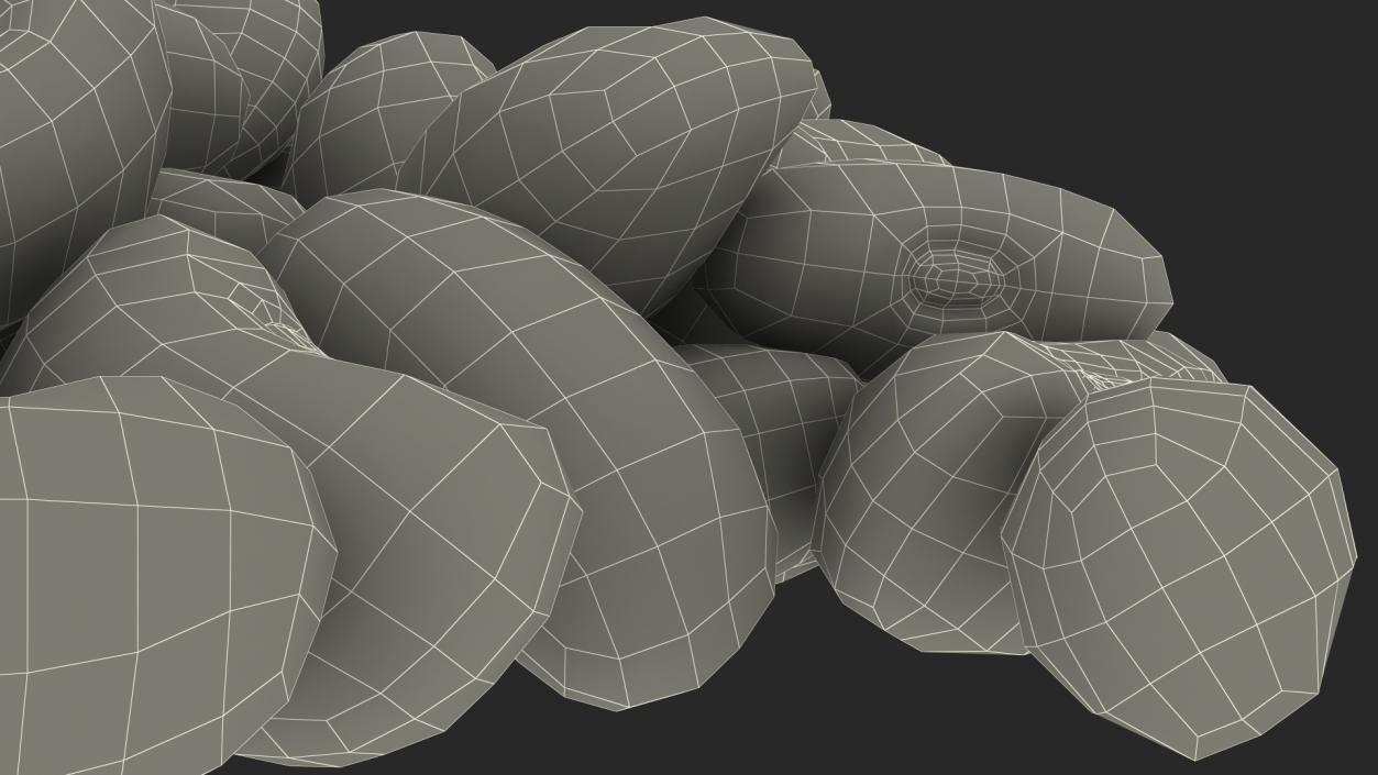 3D Pile of Black Turtle Beans