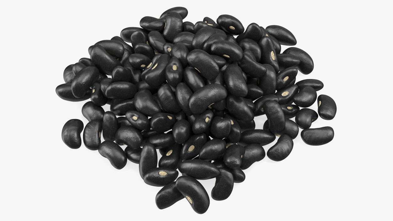 3D Pile of Black Turtle Beans