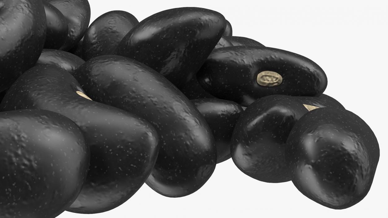 3D Pile of Black Turtle Beans