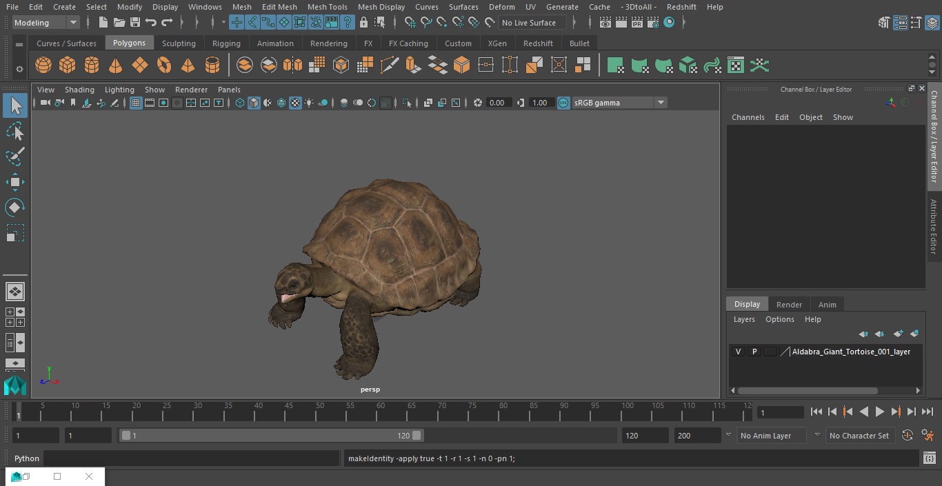 Aldabra Giant Tortoise 3D