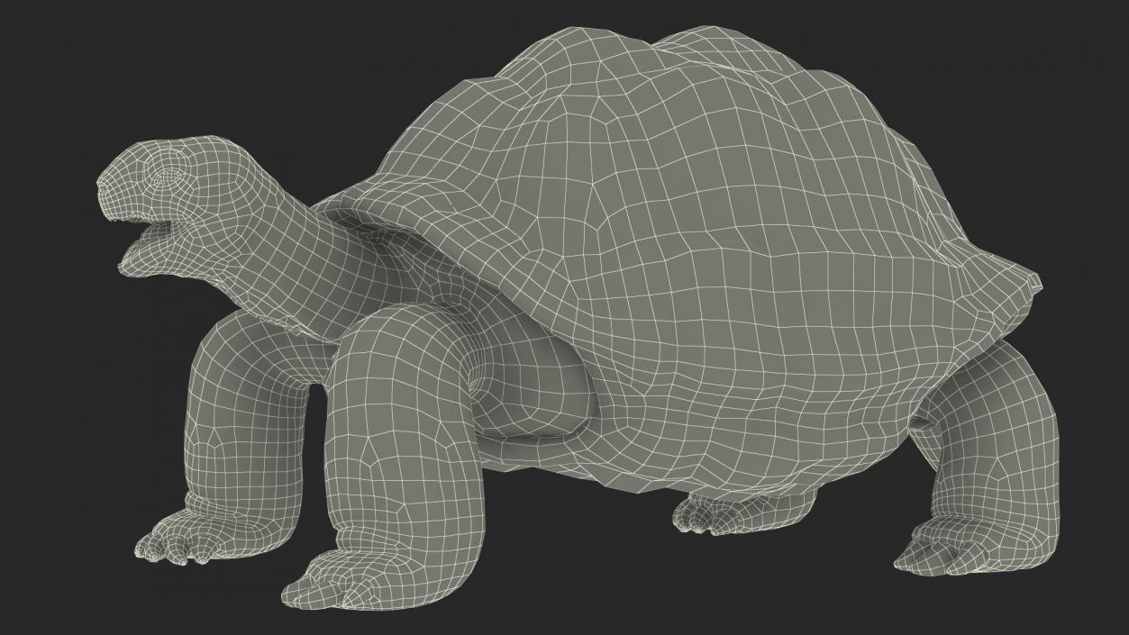 Aldabra Giant Tortoise 3D