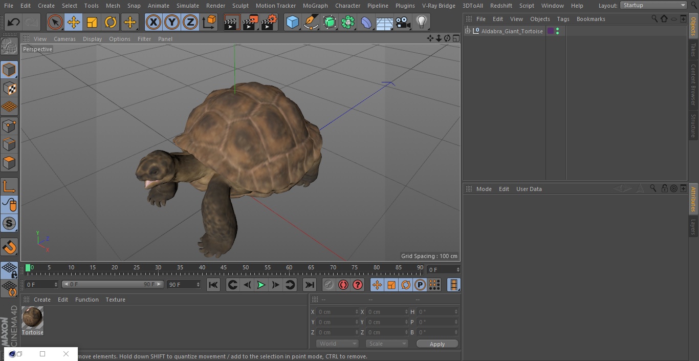 Aldabra Giant Tortoise 3D