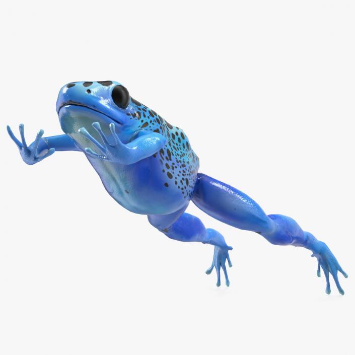 3D model Dendrobates Tinctorius Jumping Pose