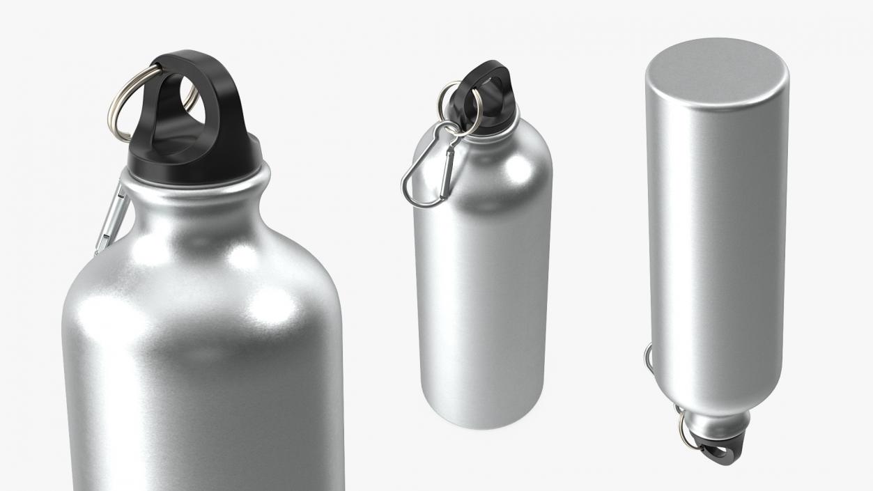 Aluminum Sport Water Bottle with Carabiner 3D