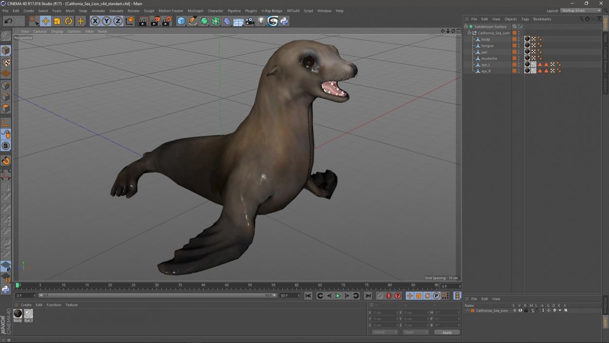 California Sea Lion 3D model