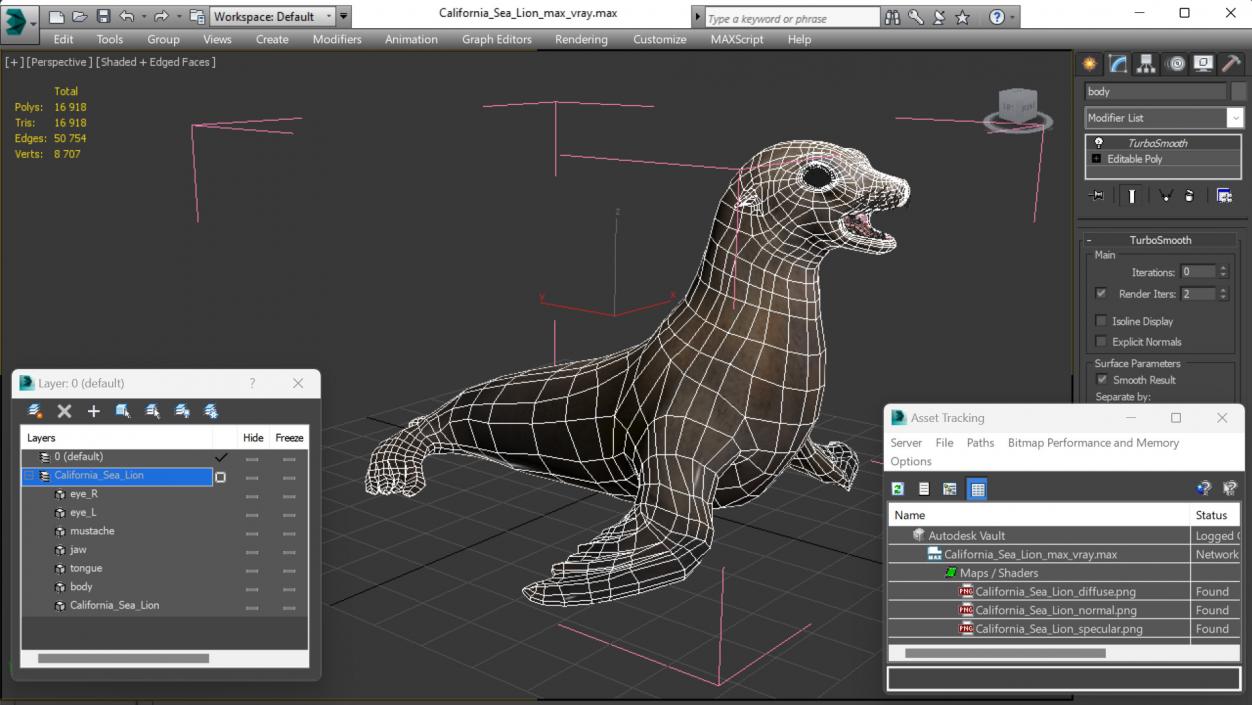 California Sea Lion 3D model