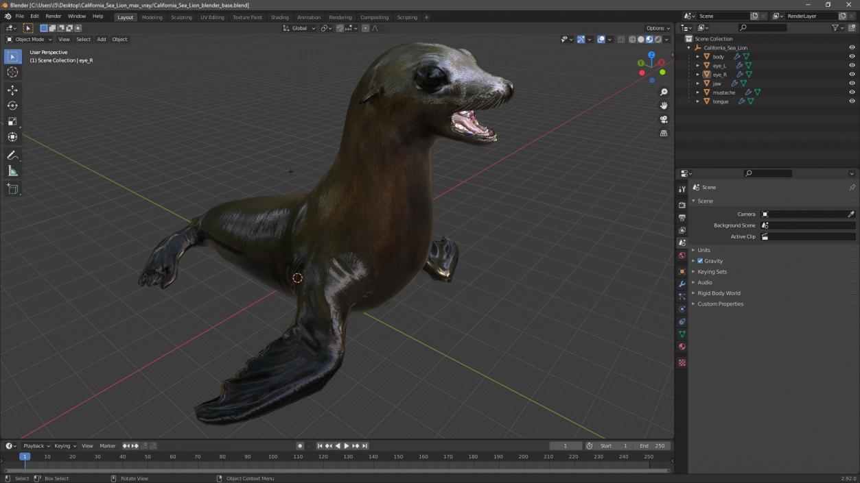 California Sea Lion 3D model