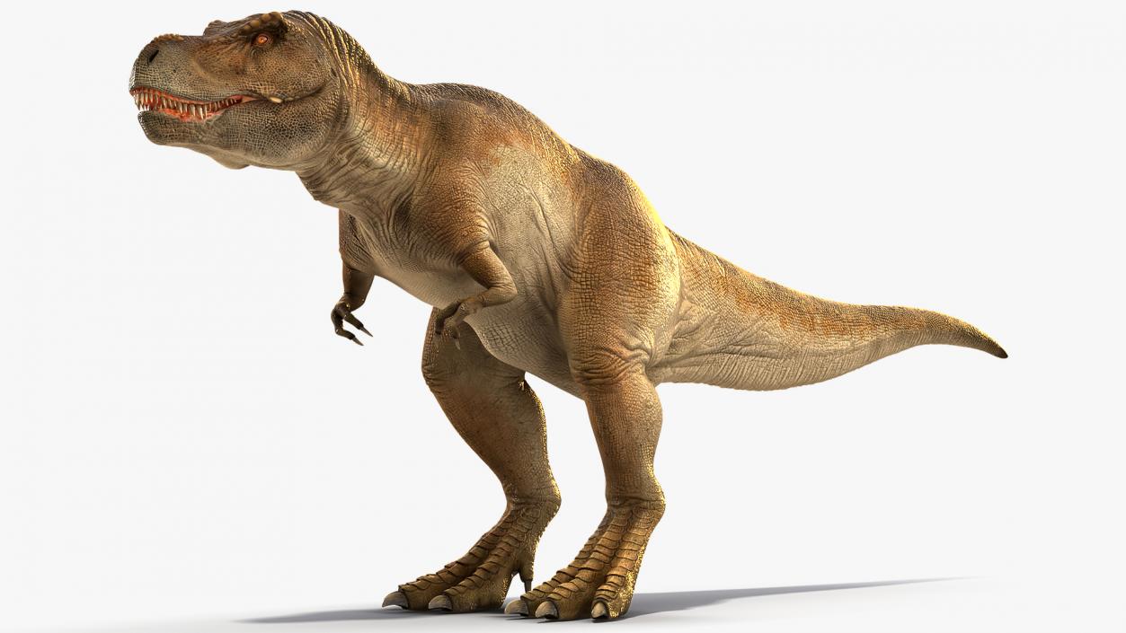 3D Animated Tyrannosaurus Rex Waiting Rigged