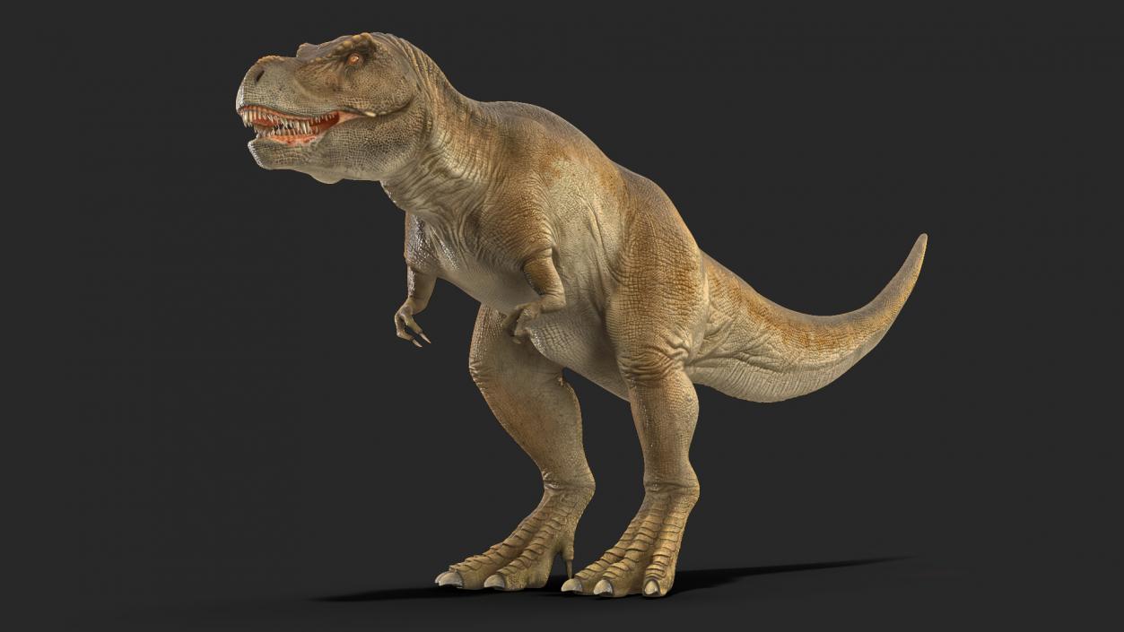 3D Animated Tyrannosaurus Rex Waiting Rigged