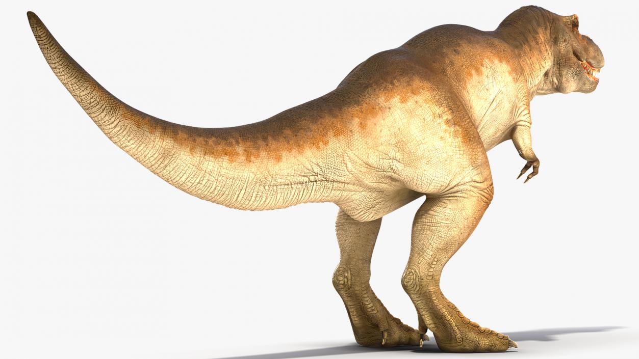 3D Animated Tyrannosaurus Rex Waiting Rigged