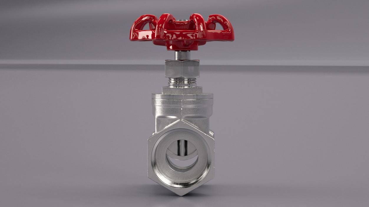 Nickel Gate Valve 3D