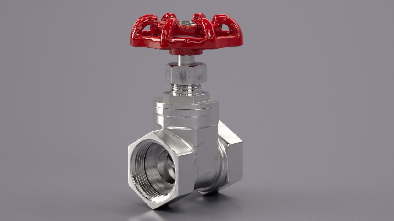 Nickel Gate Valve 3D