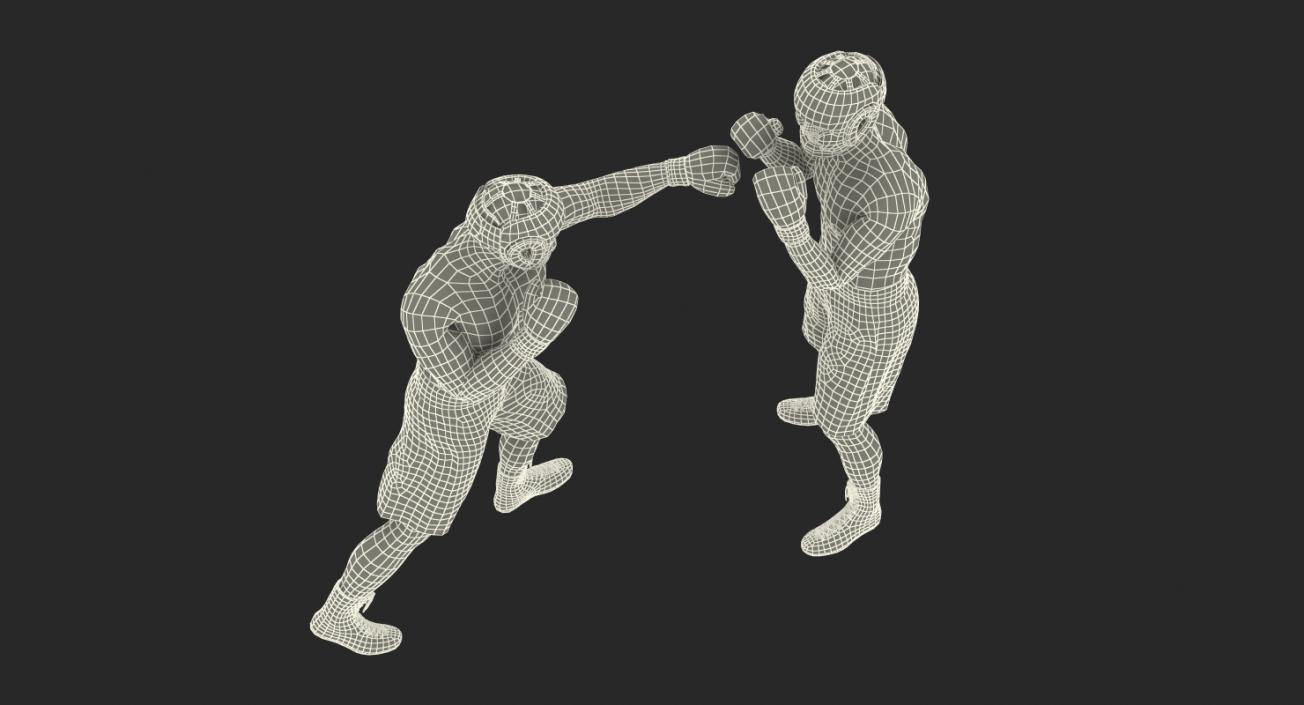 3D model Boxers Fighting