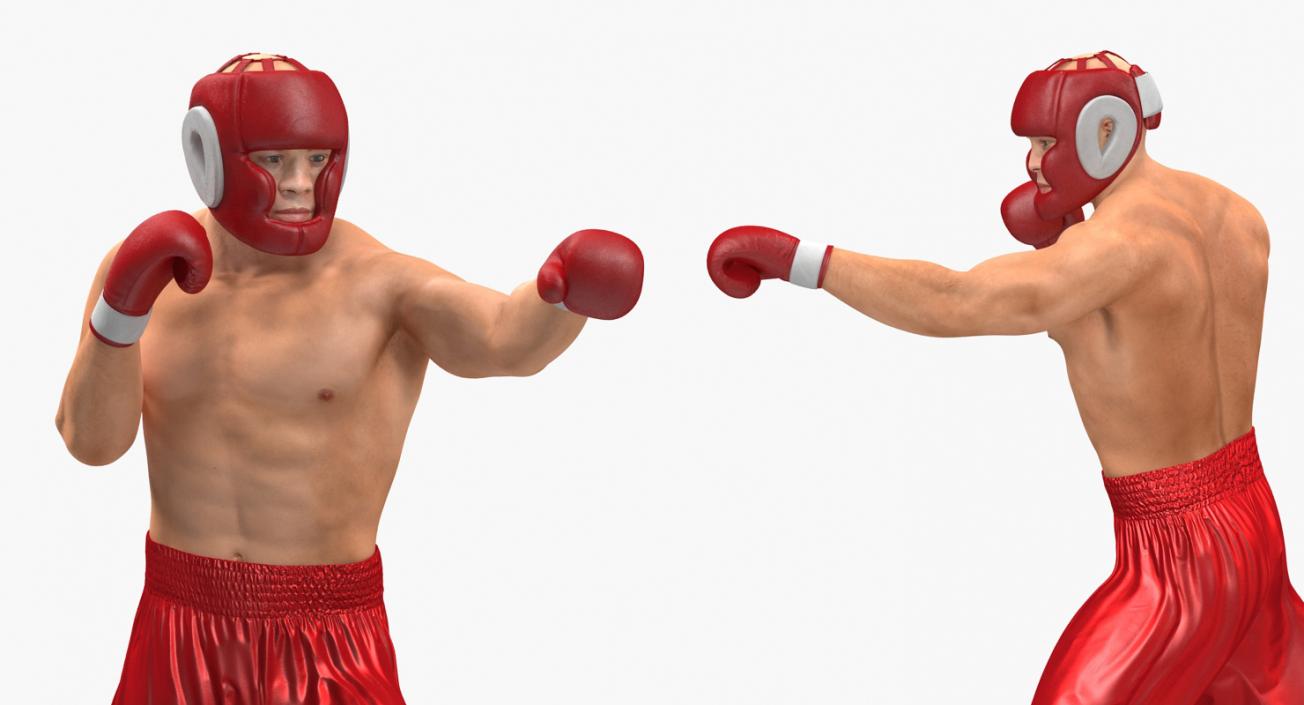 3D model Boxers Fighting