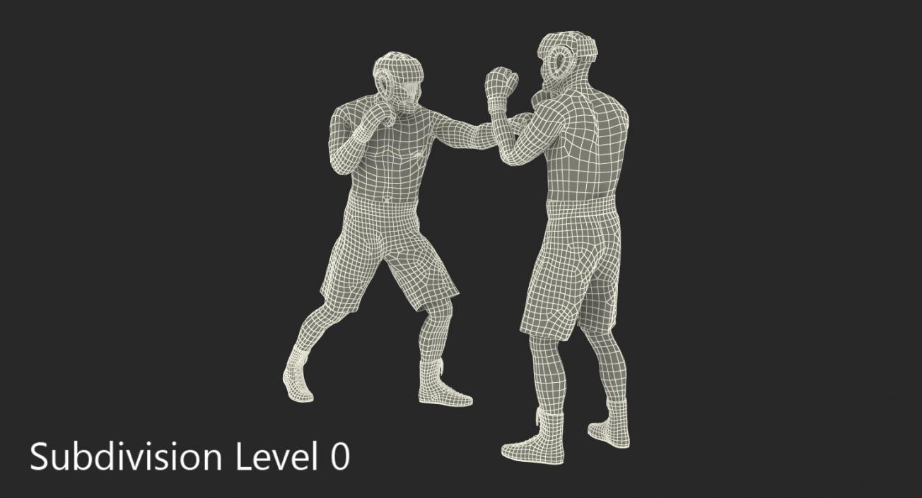 3D model Boxers Fighting