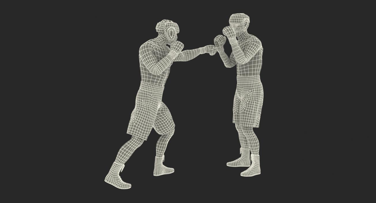 3D model Boxers Fighting