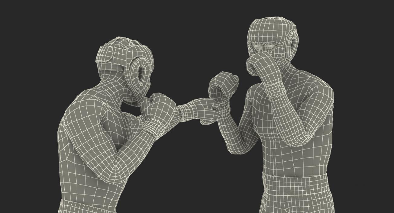 3D model Boxers Fighting