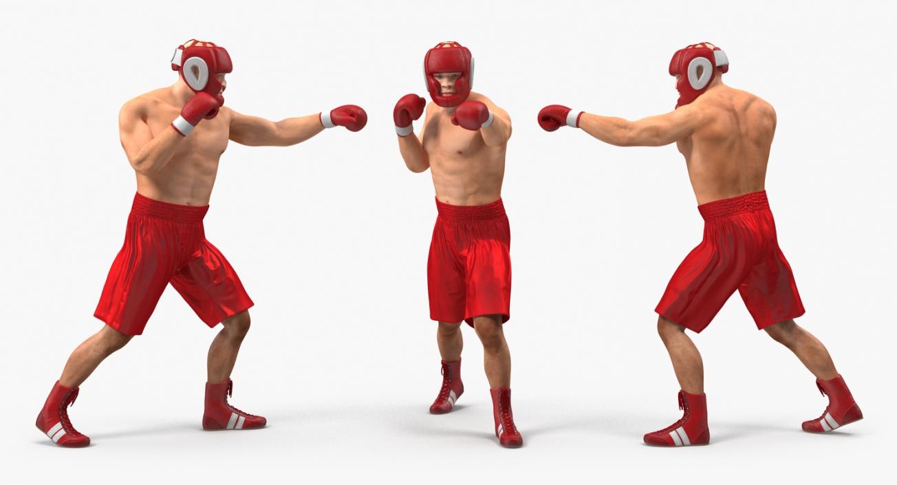 3D model Boxers Fighting