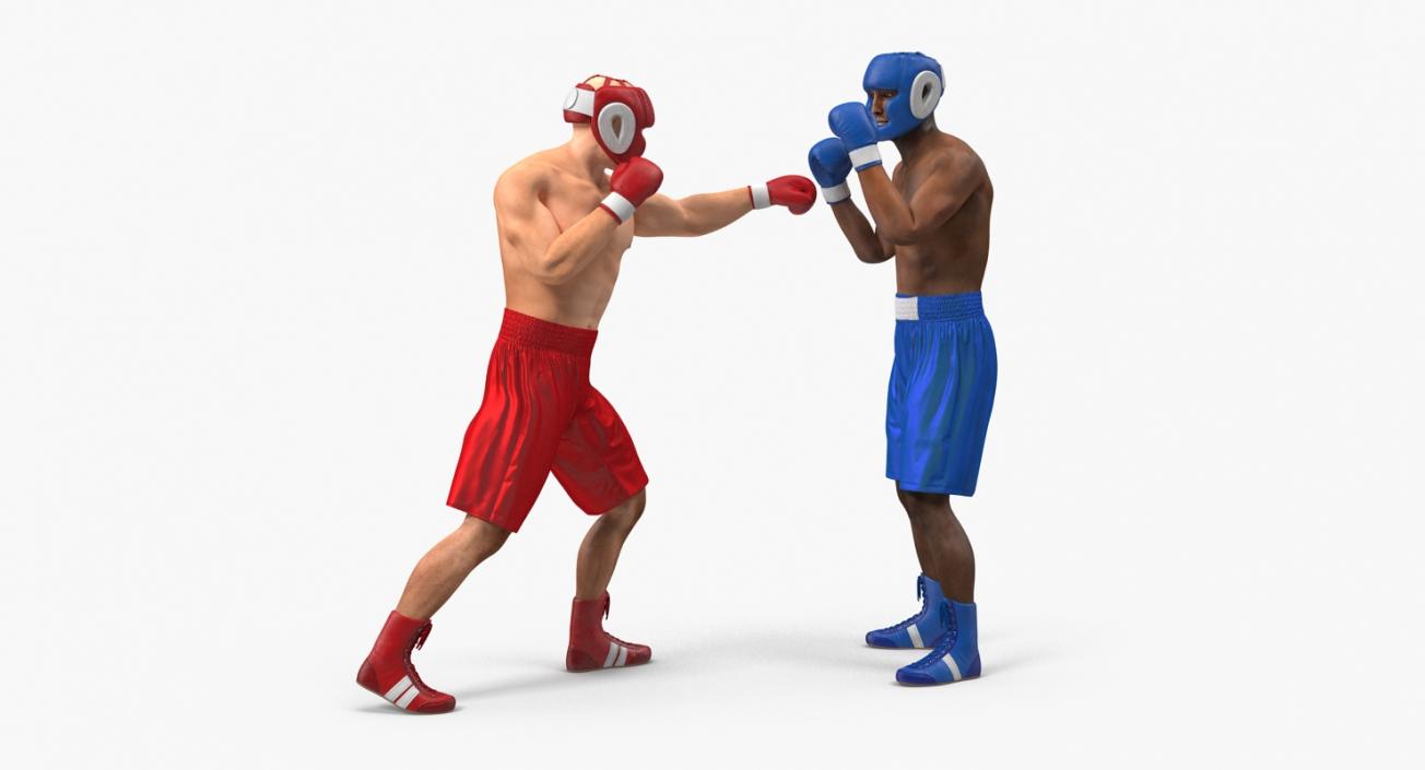 3D model Boxers Fighting