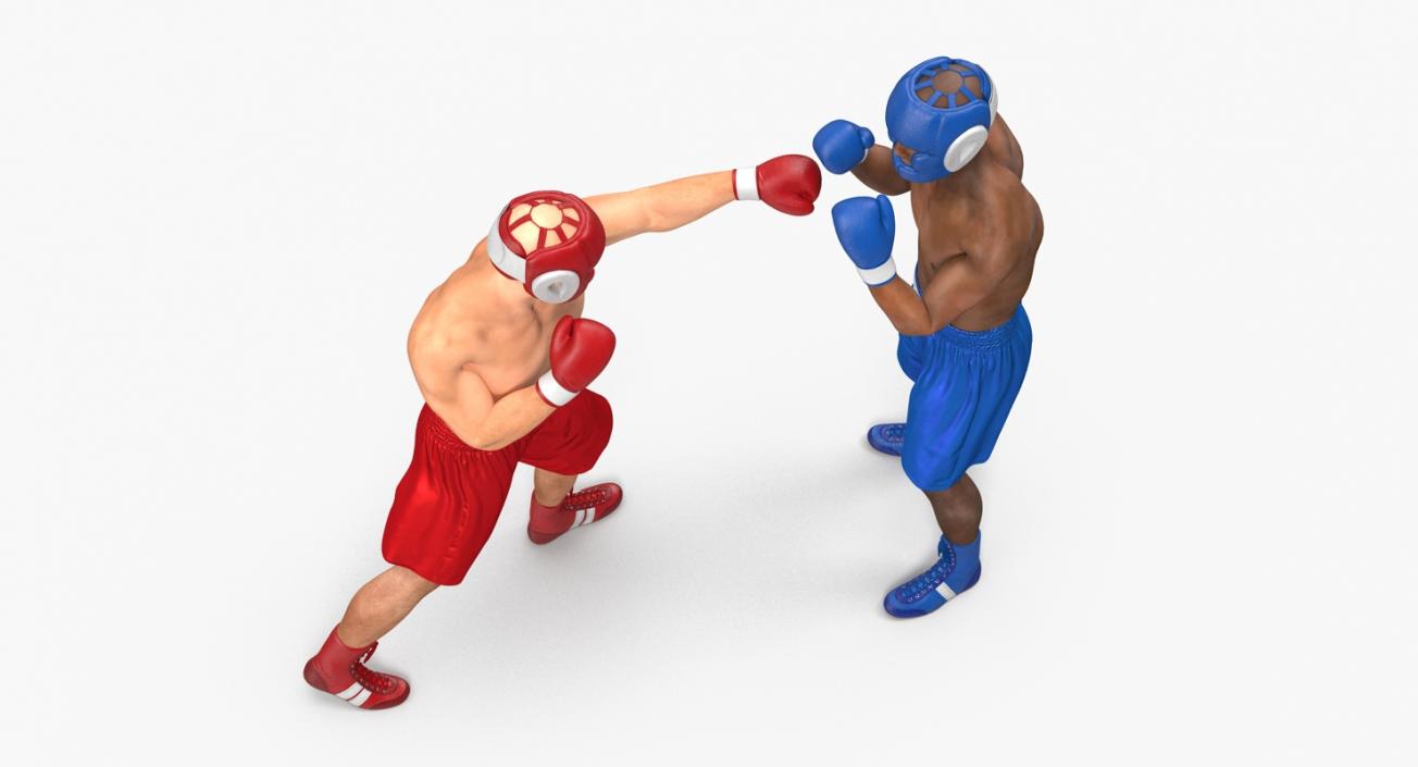 3D model Boxers Fighting