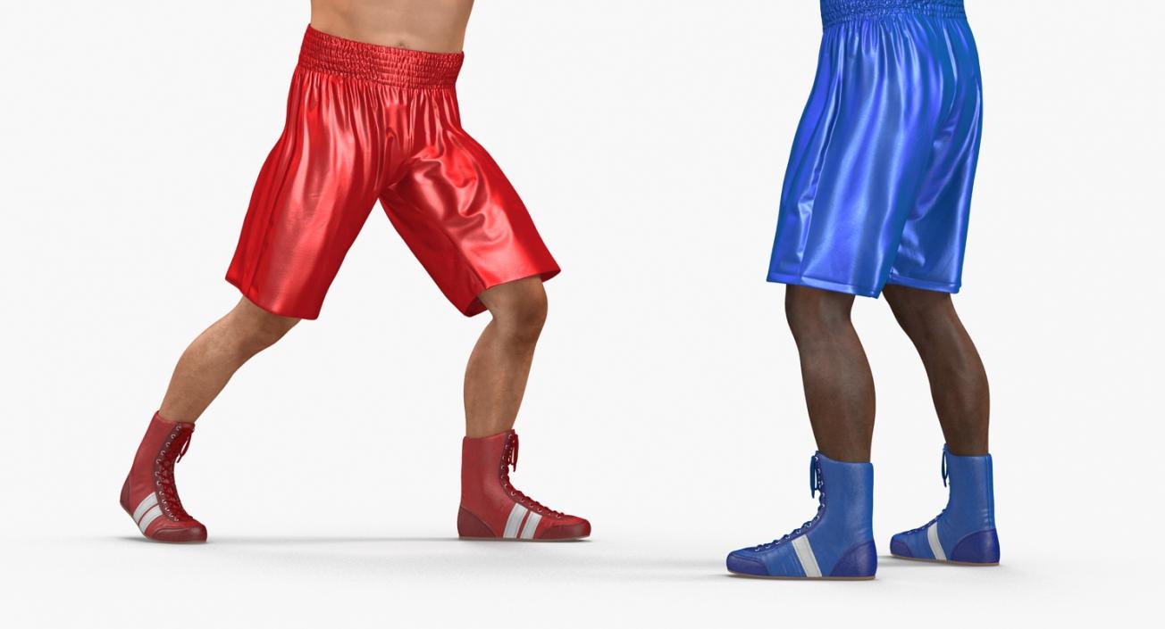 3D model Boxers Fighting