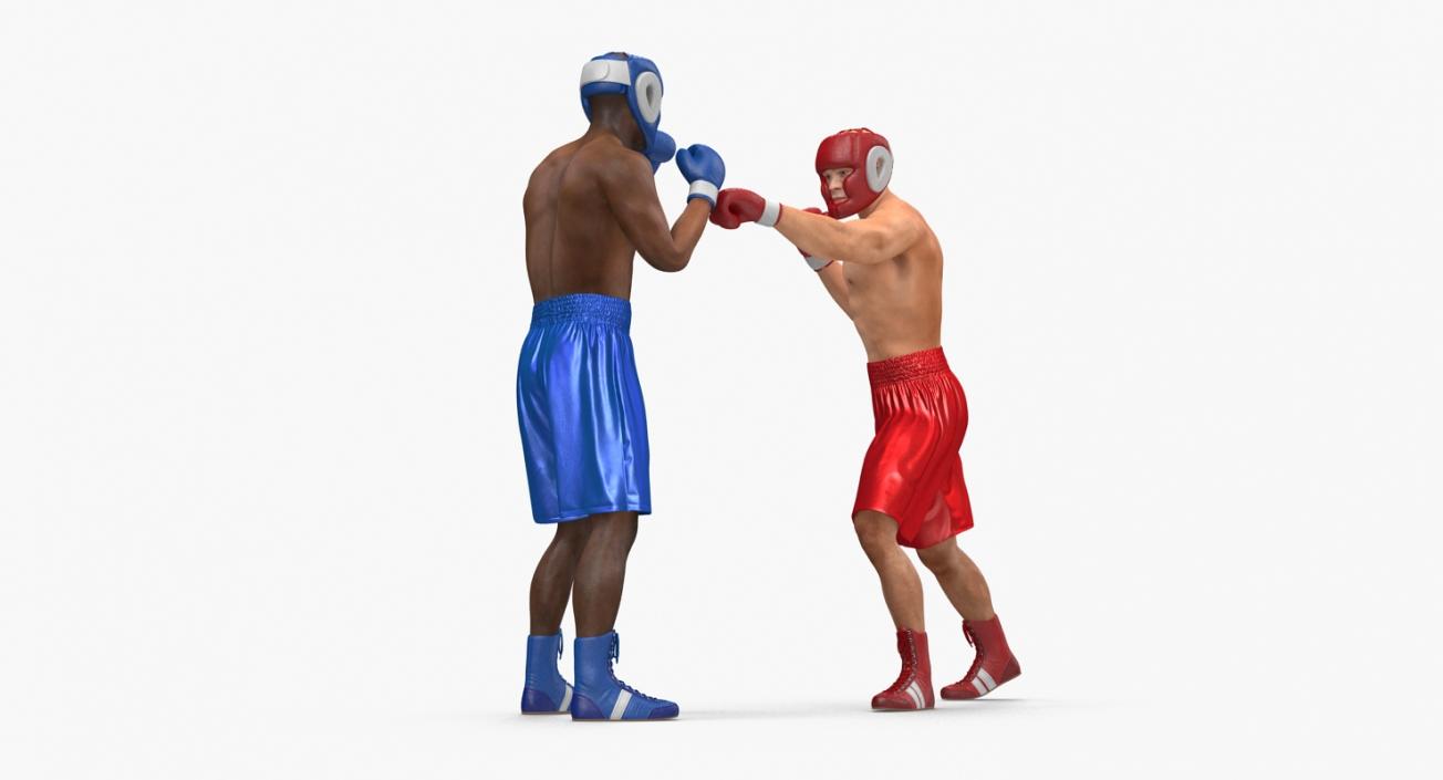 3D model Boxers Fighting