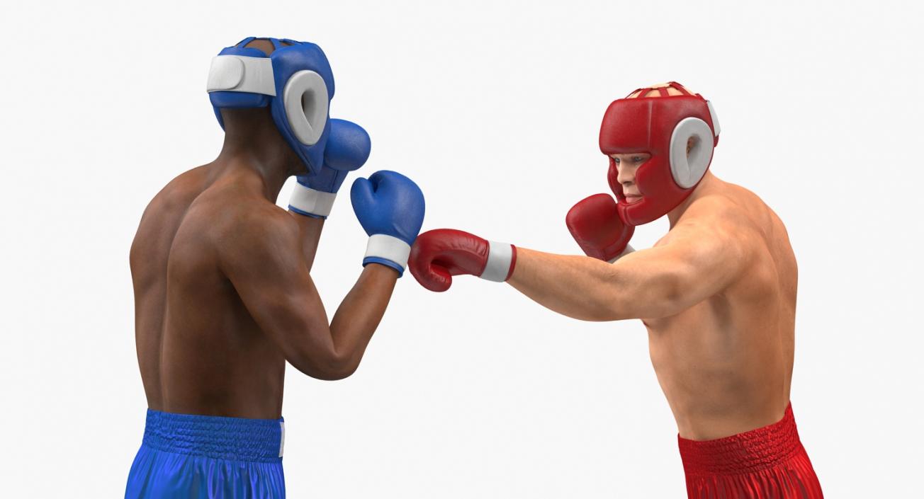 3D model Boxers Fighting