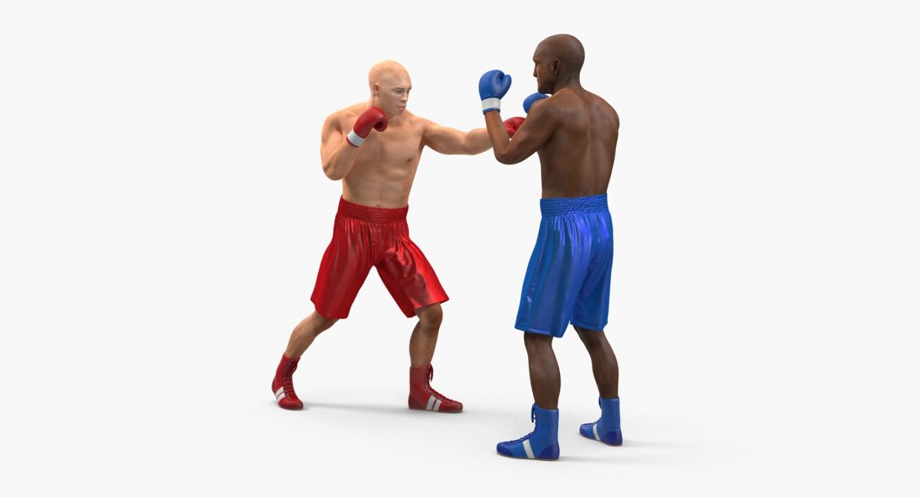 3D model Boxers Fighting