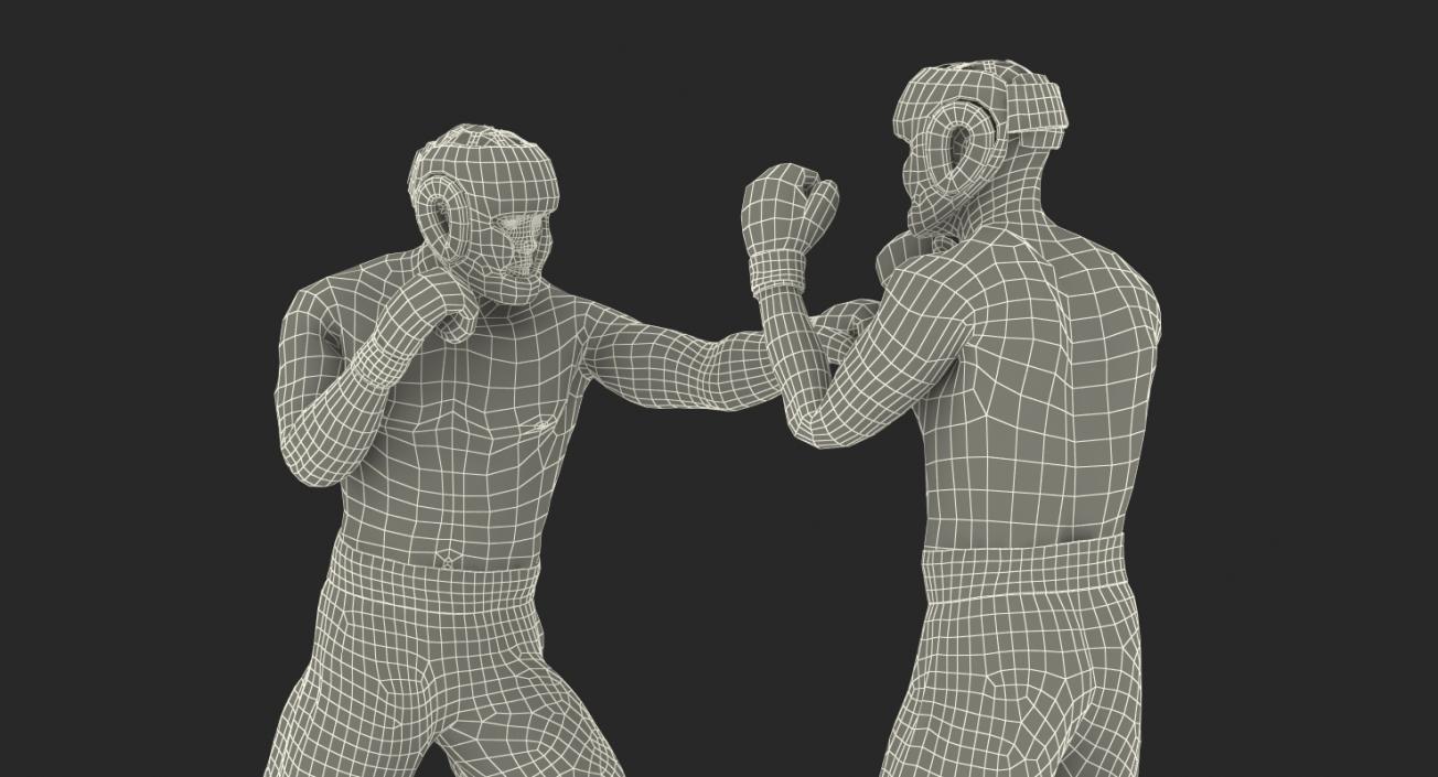 3D model Boxers Fighting