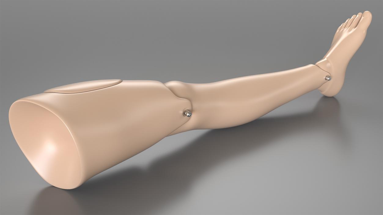 3D model First Aid Training Manikin Leg